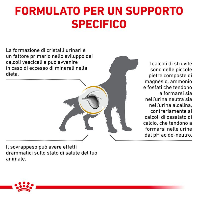 Royal Canin Urinary S/O Moderate Calorie - 6,5kg Royal Canin Urinary S/O Moderate Calorie - 6,5kg